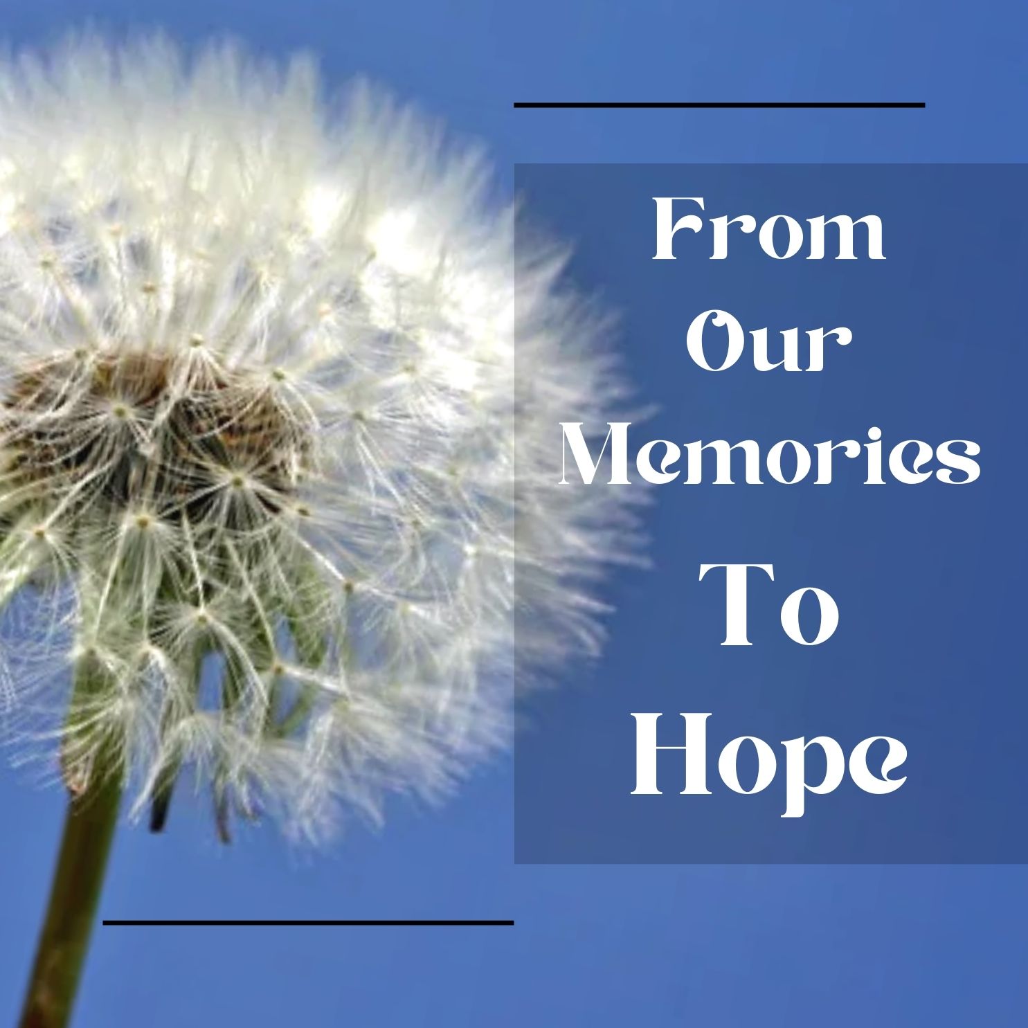 From Our Memories to Hope